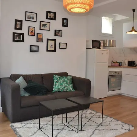 Appartement type loft-3